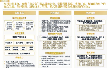 发展战略的概述