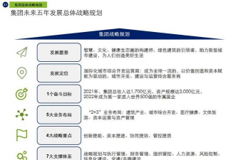 多元化战略的概述