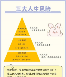 风险规避的概述