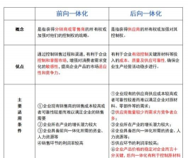 前向一体化战略的概述