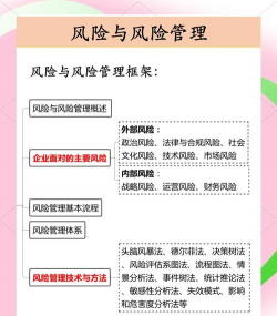 稳定战略的风险的概述