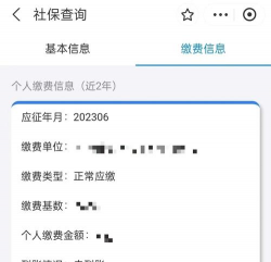 社保未到账是什么意思
