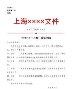 什么是红头文件