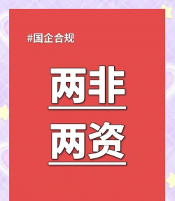 两非资产是指哪两非