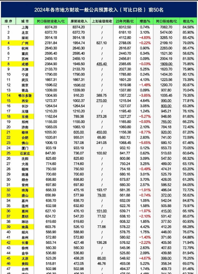 地方一般公共预算收入是什么意思