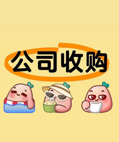 收购公司是什么