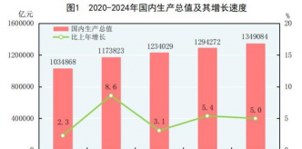 国内生产总值是什么