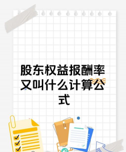 股东权益报酬率是什么