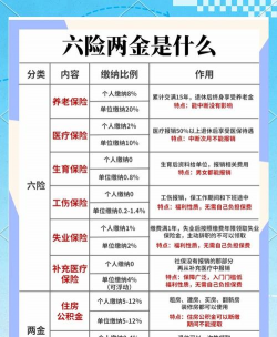 养老保险是什么