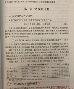 消除货币计量假定缺陷的对策