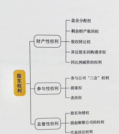 股东代表诉讼中的股东的权利