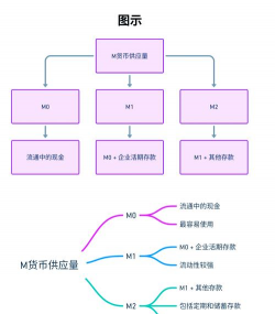 货币职能说的主要理论包括