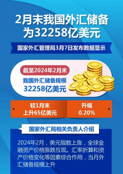 外汇储备是什么意思