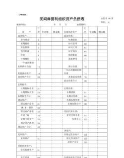 什么是民间非营利组织负债