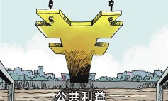 什么是公众利益实体