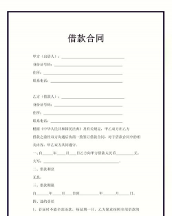 什么是专门借款