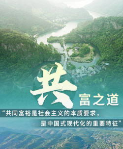 什么是共同富裕