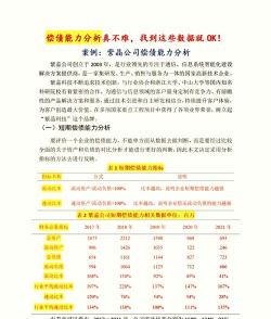 什么是政府偿债能力