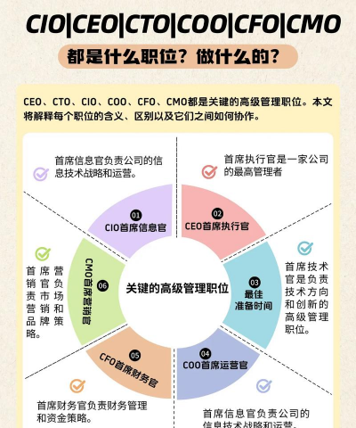 cmo是什么职位