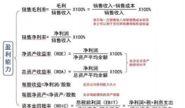 盈余现金保障倍数是什么