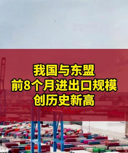 前8月我国对东盟进出口增长9.7% 规模创历史同期新高