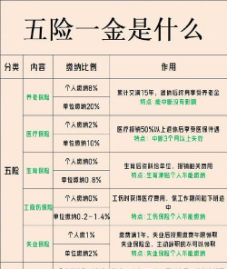 保障金是什么意思