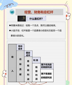 劣后资金和杠杆什么意思