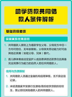 学生贷款的，什么是共同借款人
