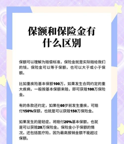 保险金额是什么意思啊