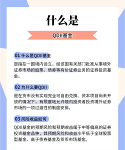 qd2基金是什么意思