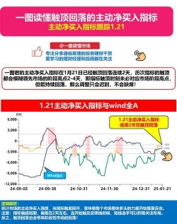 净买入什么意思