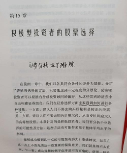 乐观投资者是什么