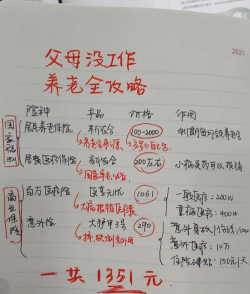 养老金固定缴款计划是什么