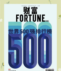 财富500是什么