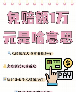 免赔是什么意思