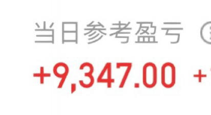 什么是当日盈亏