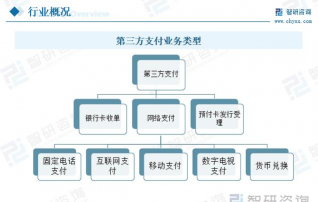 非金融机构支付的特点