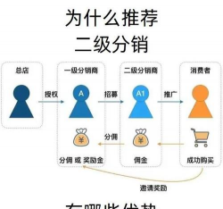 交易所分销是什么