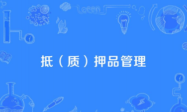 什么是抵（质）押品管理