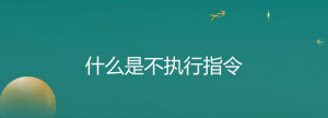 什么是不执行指令