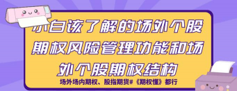 出口投标防止风险期权的特点