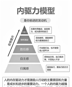 储蓄动机的驱力和诱因