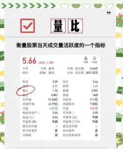 股市投资比率是什么