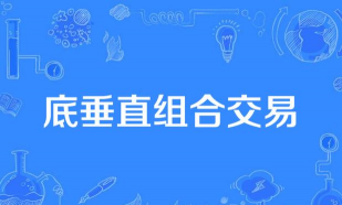 什么是底垂直组合交易