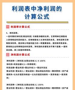 资本净利率公式