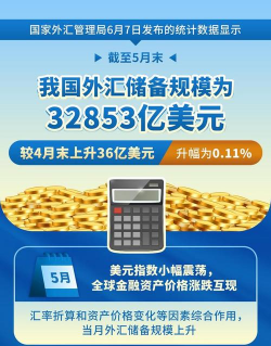 适度国际储备规模的确定方法