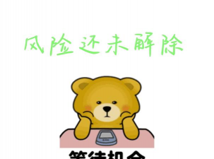 等待回转机会的应用