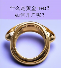 黄金T+D是什么