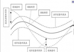 有限套利的成因