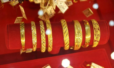 藏金于民的特点